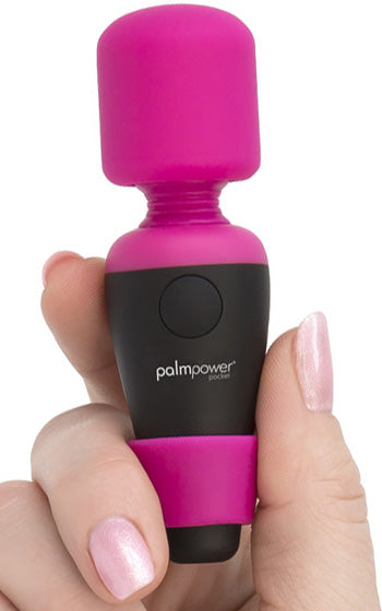 Palm Power Bullet