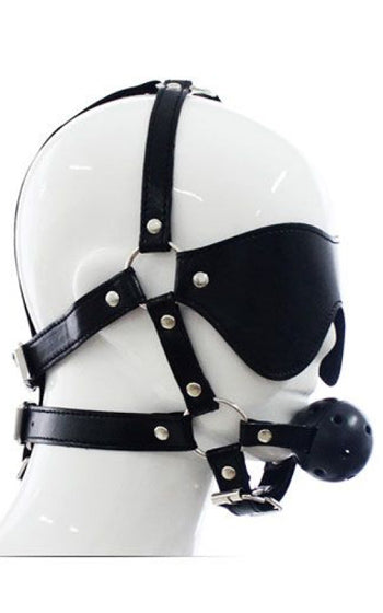 Face Harness Advanced