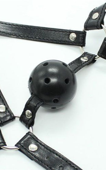 Face Harness