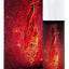 Thor Fire Gel 50 ml