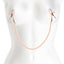 Bound Nipple Clamps 2