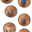G-String for Men 7-pack