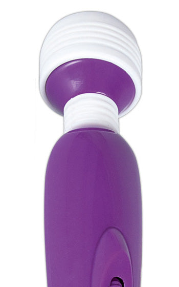 Passion Pointer Mini